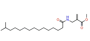 Hurghamide A